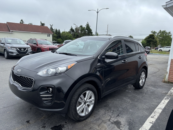 2019 Kia Sportage